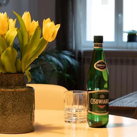 Appartement Cocorico Poznań