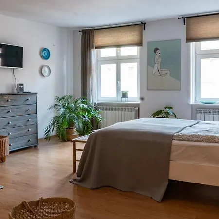 Appartement Cocorico *